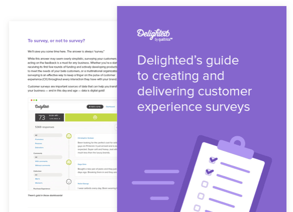 Delighted survey guide