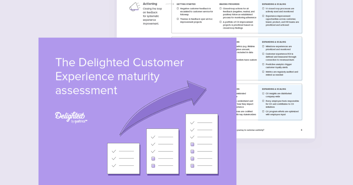 Delighted guide to CX maturity assessments